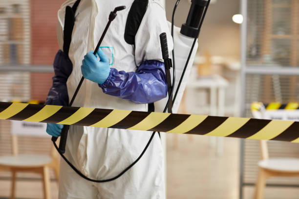 Professional Hoarding Cleanup technician working in Bay City, OR